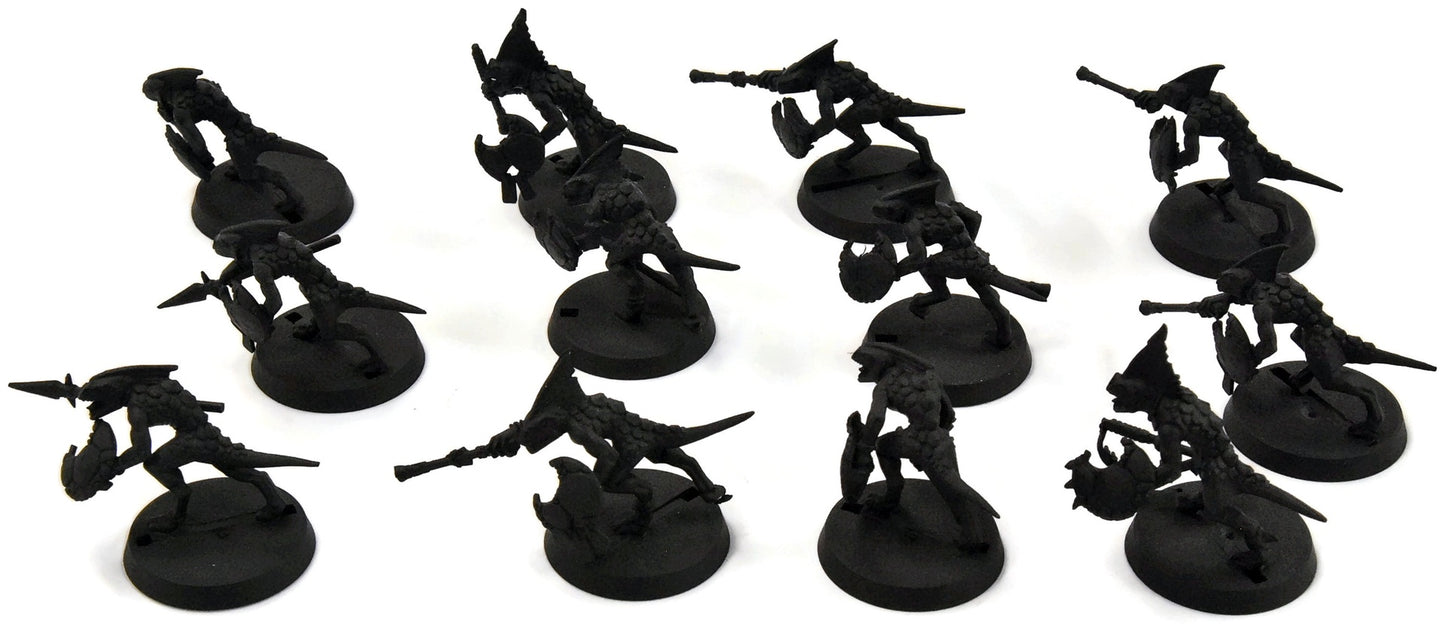 SERAPHON 12 Skinks #1 Sigmar