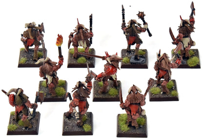 BEASTMEN 10 Gors #4 PRO-PAINTED Fantasy