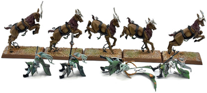 WOOD ELVES 5 Wild Riders #1 PRO PAINTED INCOMPLETE Fantasy Missing One Rider