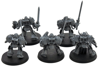 GREY KNIGHTS 5 Paladin Terminators #1 Warhammer 40K