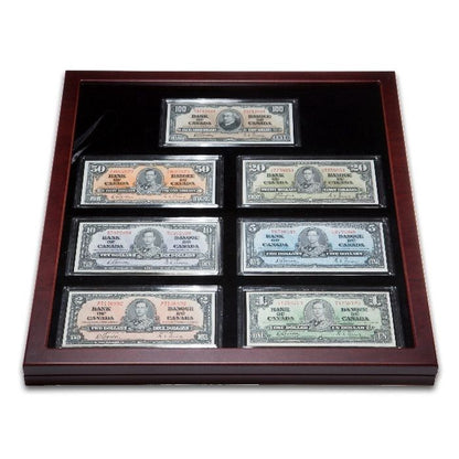 Showcase For 7 Banknotes Including Capsules