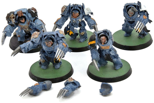 SPACE WOLVES 5 Wolf Guard Terminator #3 Warhammer 40K