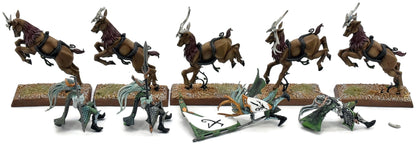 WOOD ELVES 5 Wild Riders #1 PRO PAINTED INCOMPLETE Fantasy Missing One Rider