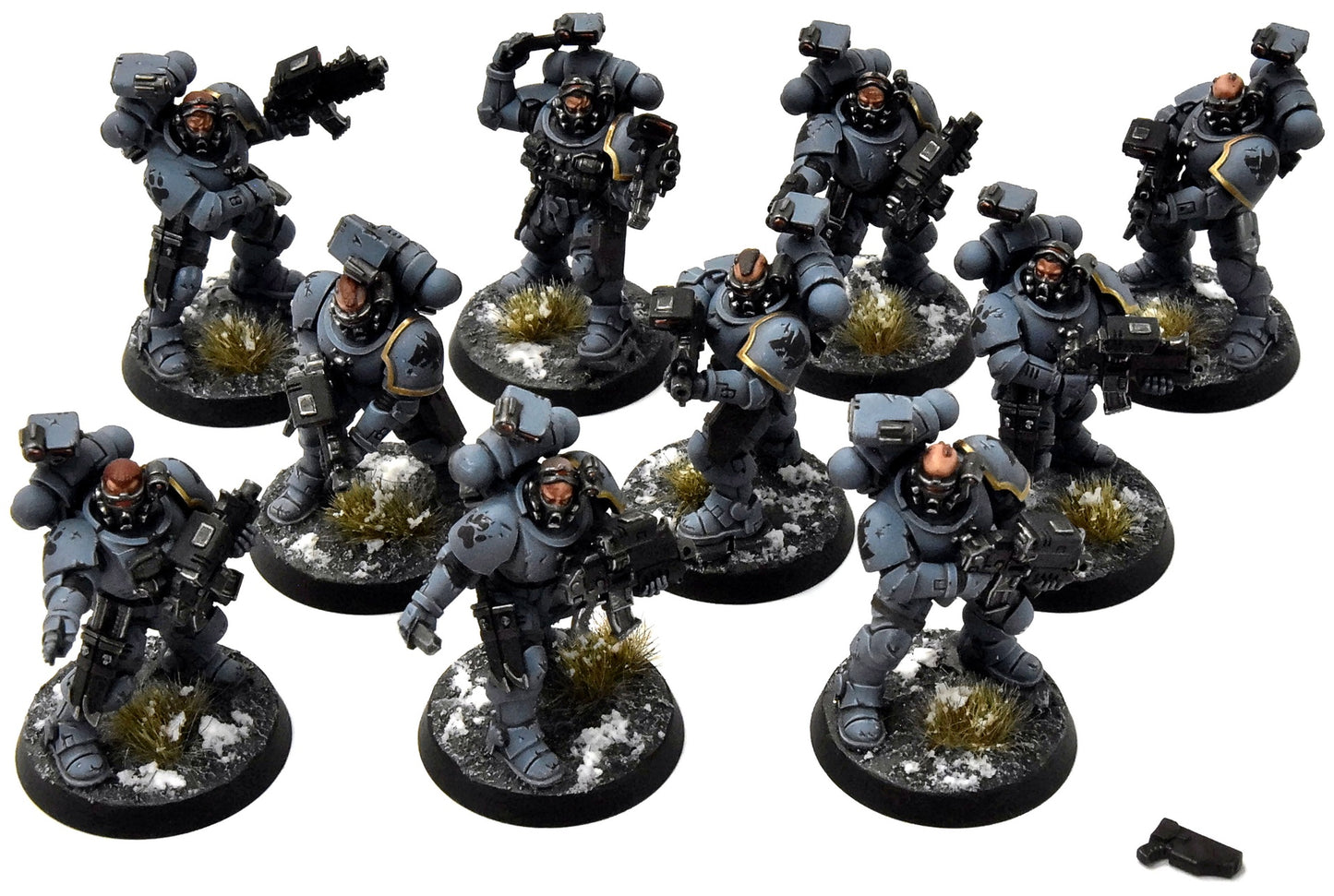 SPACE WOLVES 10 Incursors #1 PRO PAINTED Warhammer 40K