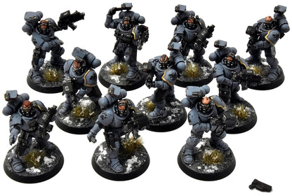 SPACE WOLVES 10 Incursors #1 PRO PAINTED Warhammer 40K