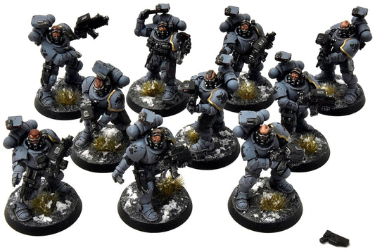 SPACE WOLVES 10 Incursors #1 PRO PAINTED Warhammer 40K
