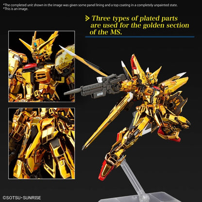 AKATSUKI GUNDAM OOWASHI unit RG 1/144 Bandai