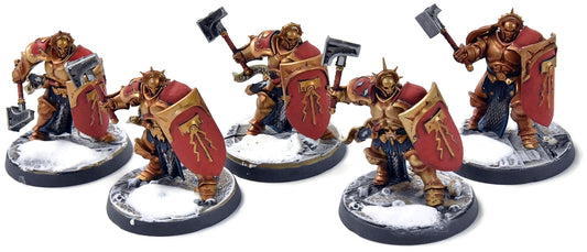 STORMCAST ETERNALS 5 Liberators #2 WELL PAINTED Sigmar