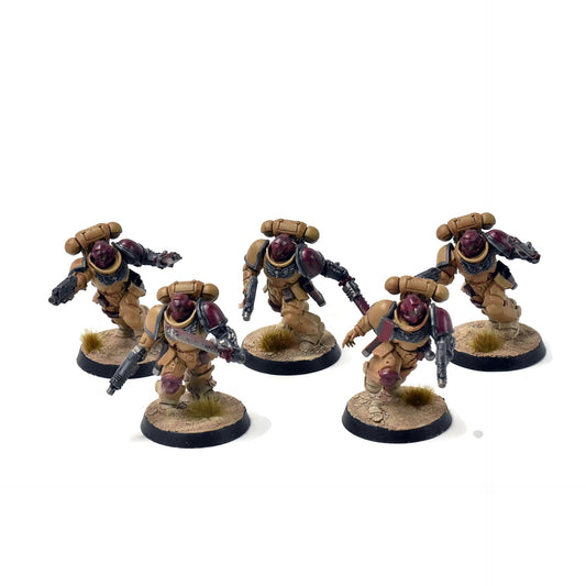 SPACE MARINES 5 Assault Intercessors #1 WELL PAINTED Warhammer 40K