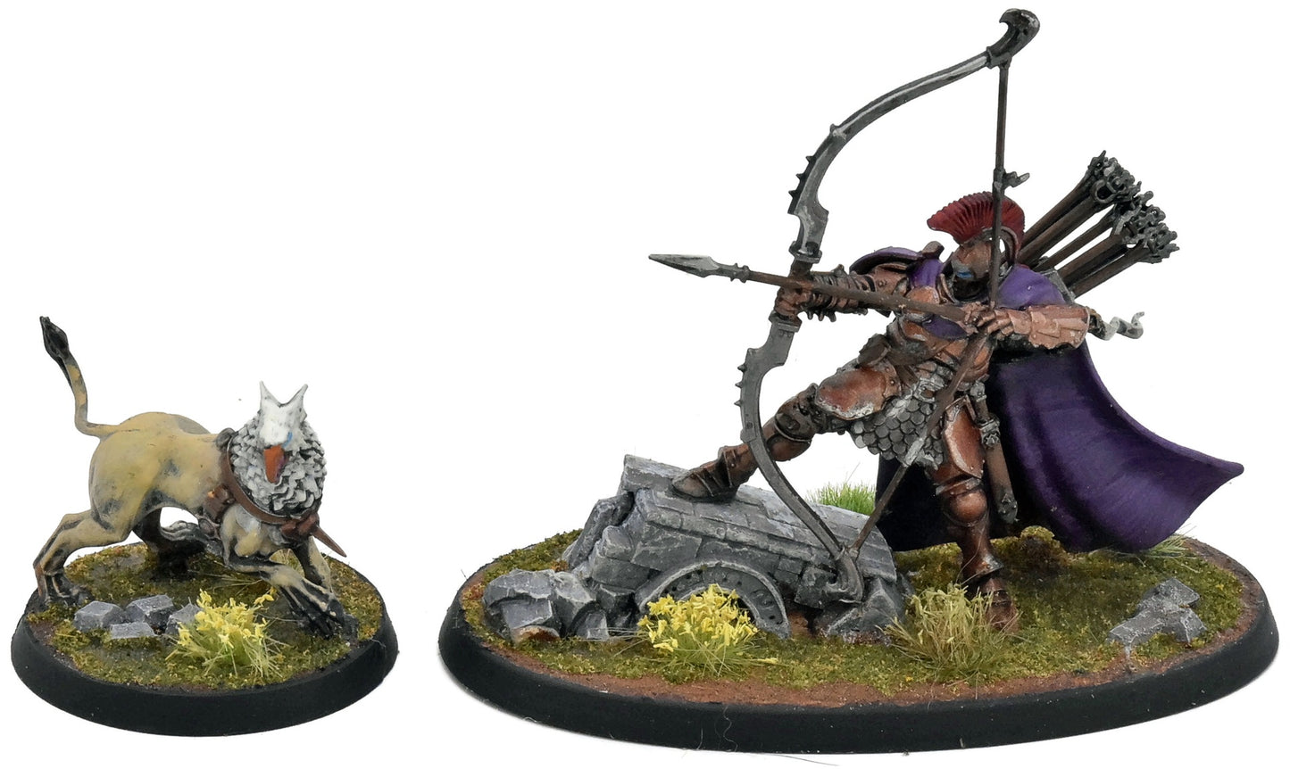 STORMCAST ETERNALS Knight Judicator #1 WELL PAINTED Sigmar With Gryph Hound