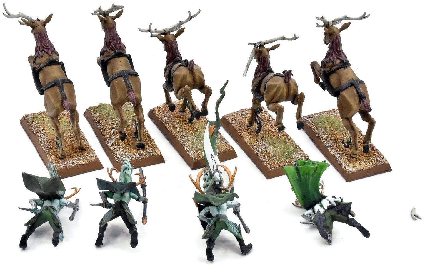 WOOD ELVES 5 Wild Riders #1 PRO PAINTED INCOMPLETE Fantasy Missing One Rider
