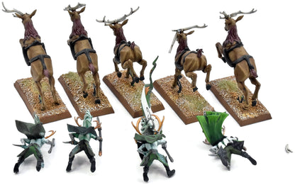 WOOD ELVES 5 Wild Riders #1 PRO PAINTED INCOMPLETE Fantasy Missing One Rider