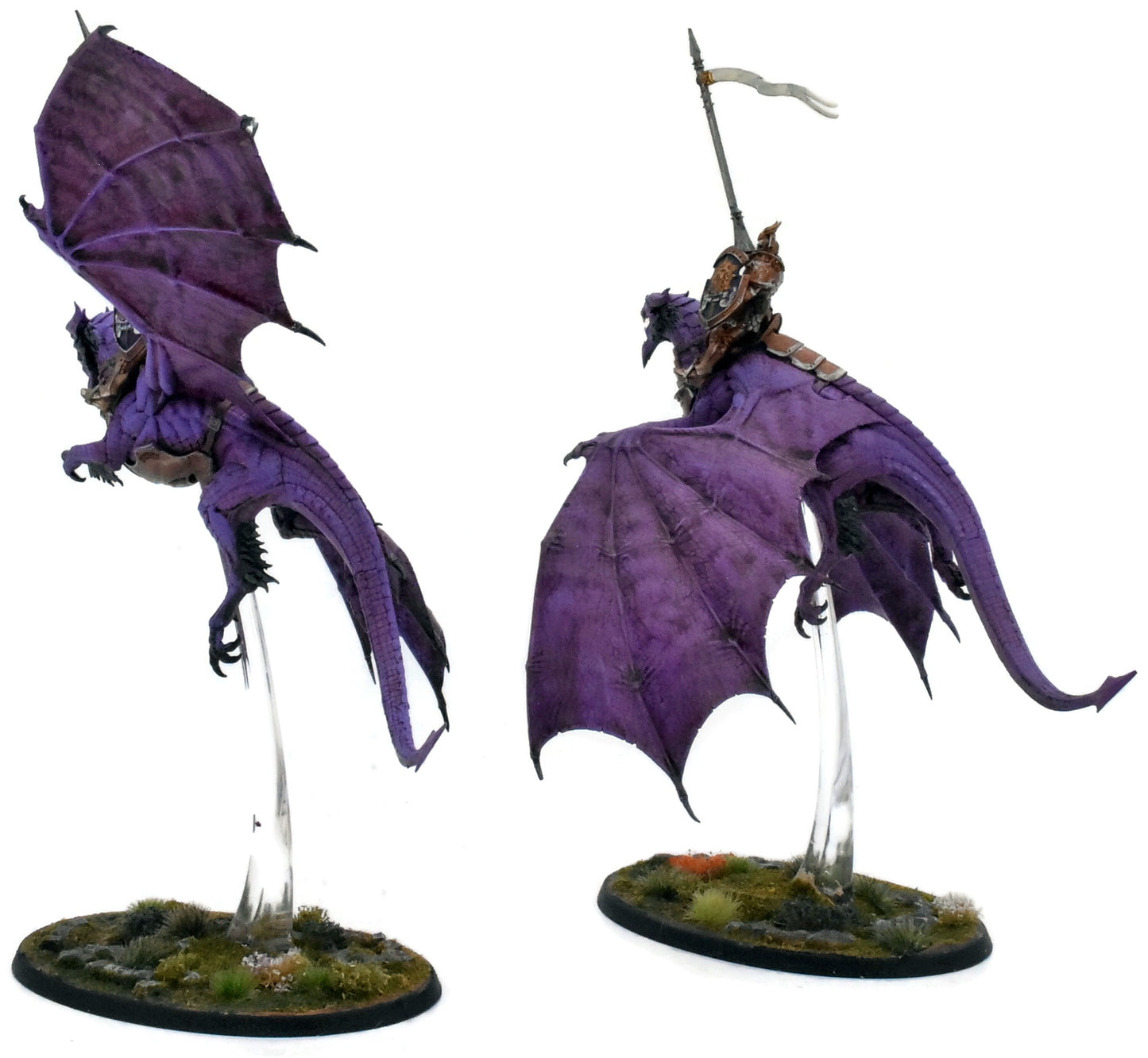 STORMCAST ETERNALS 2 Stormdrake Guards #3 WELL PAINTED Warhammer Sigmar