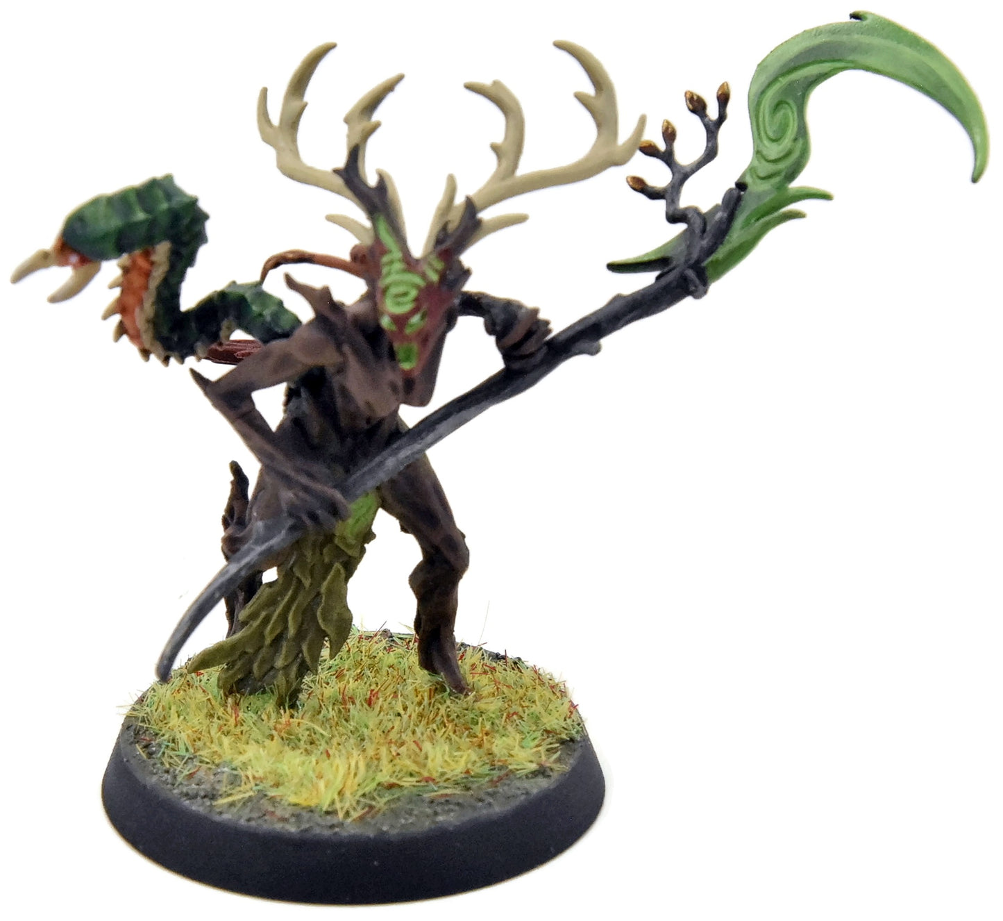 SYLVANETH Branchwych #2 WELL PAINTED Sigmar 2615
