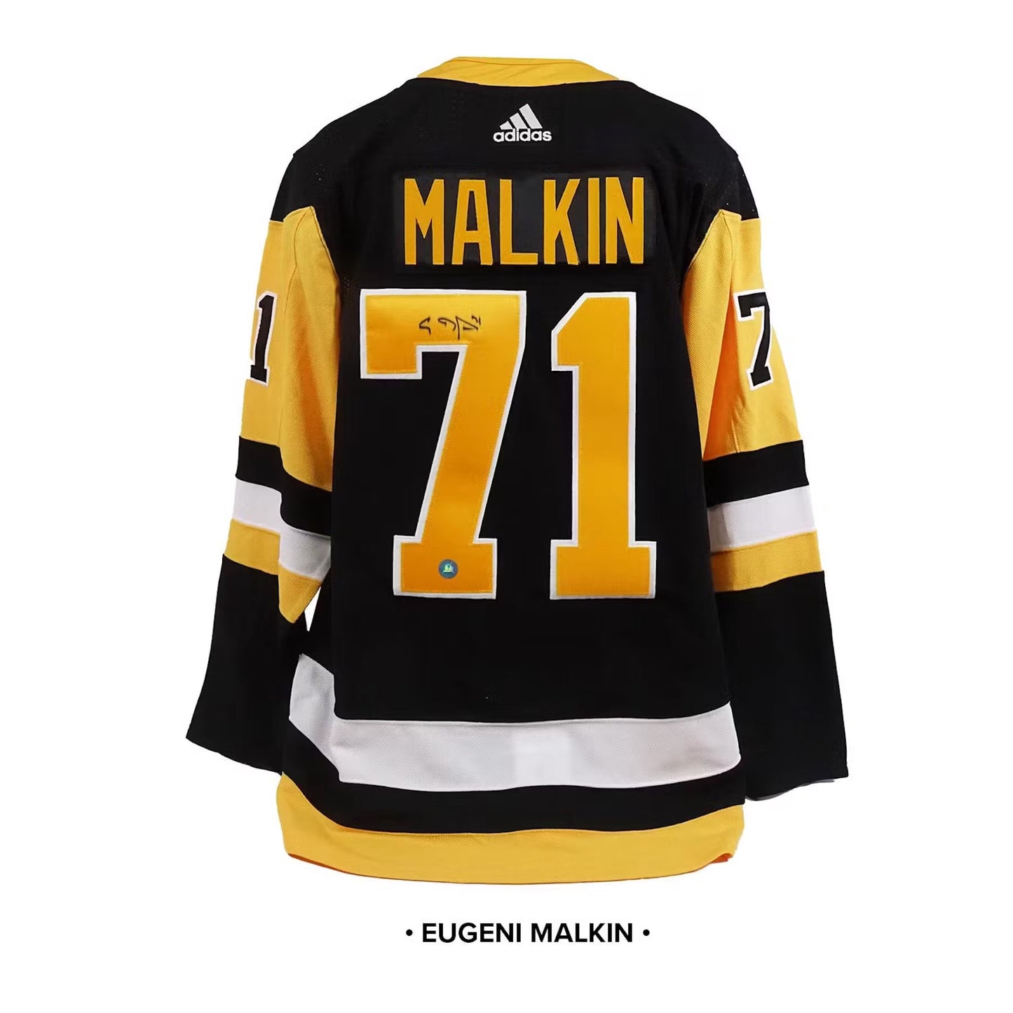 23/24 Hit Parade Autographed Hockey Jersey OFFICIALLY LICENSED Series 3