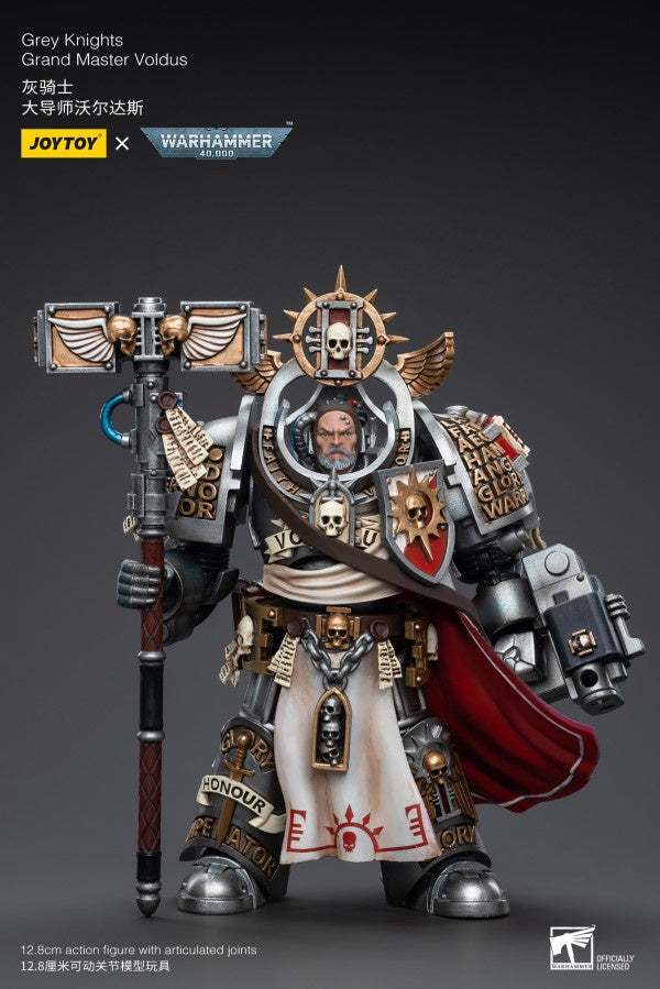Grand Master Voldus Grey Knights Joy Toy