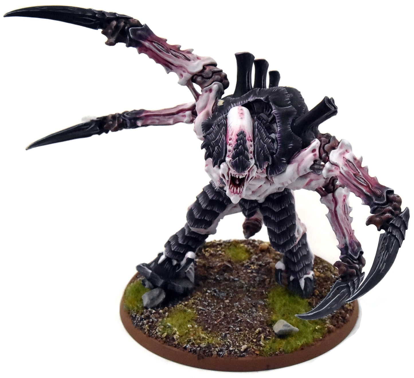TYRANIDS Screamer Killer #1 PRO PAINTED Warhammer 40K