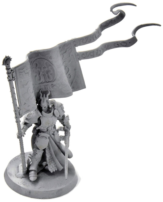 STORMCAST ETERNALS Knight Vexilor #1 Heavy Paint Sigmar
