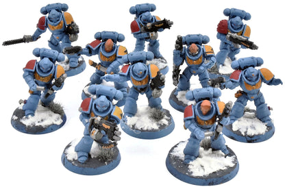 SPACE WOLVES 10 Intercessors #1 Warhammer 40K WELL PAINTED