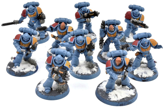 SPACE WOLVES 10 Intercessors #1 Warhammer 40K WELL PAINTED