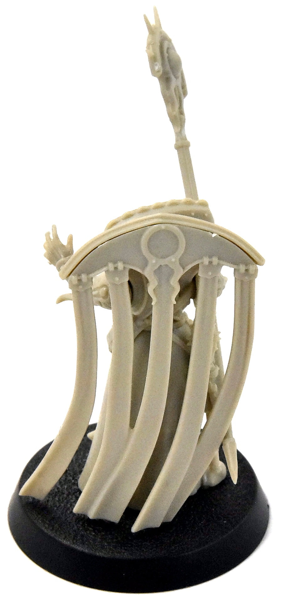 CITIES OF SIGMAR Cursed City Cleona Zeitengale #1 Sigmar